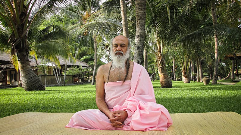 Babaji in meditation